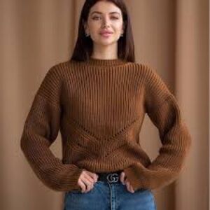 Arizona Jean Company Women's Brown Crew Neck Sweater